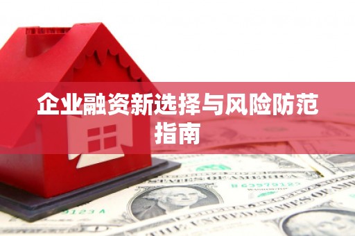 瑞金企业融资新选择与风险防范指南