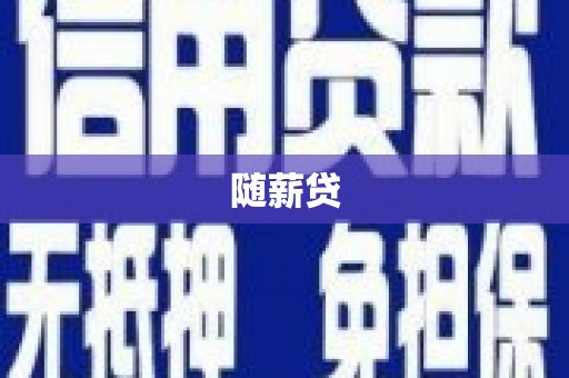 广水随薪贷