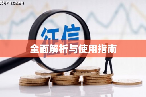 临潭全面解析与使用指南