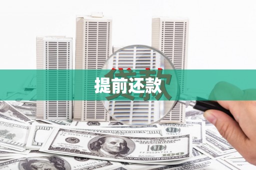 洪雅提前还款