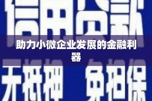 张北助力小微企业发展的金融利器