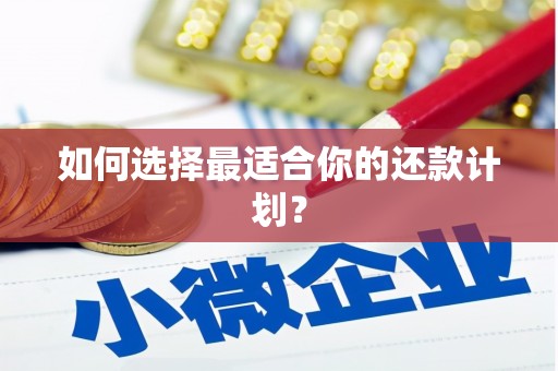 麟洛如何选择最适合你的还款计划？