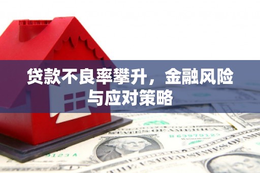 咸丰贷款不良率攀升，金融风险与应对策略